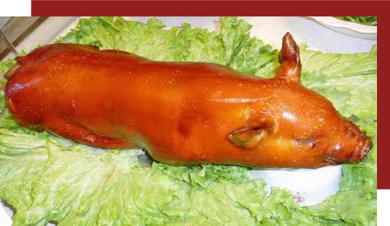 公司簡(jiǎn)介